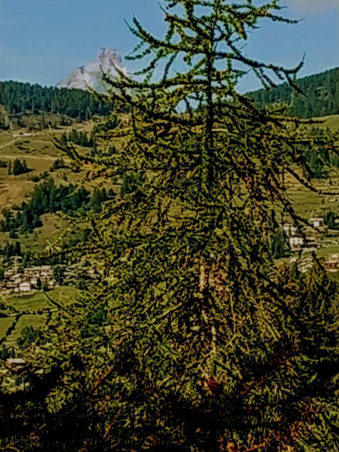 Villa Chez tonton Aosta Esterno foto
